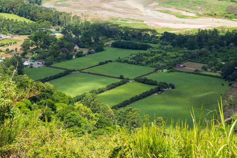 Segregación de fincas: guía completa para entender el proceso legal 2 Vista aérea de terrenos de una finca